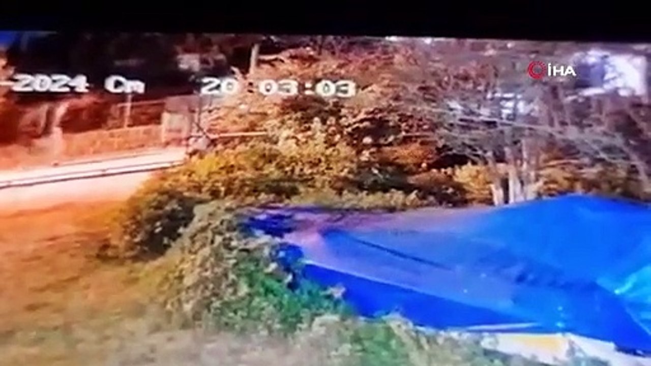Bodrum'daki kedi ve köpeklerin katili yakalandı
