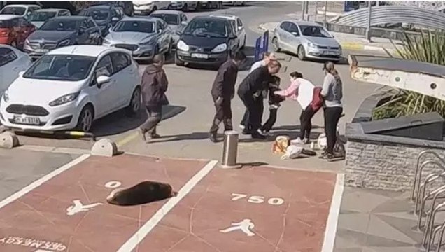 Zabıtanın 'heimlich manevrası' çocuğun hayatını böyle kurtardı