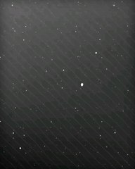 I Always Like To Play With Fire. LightFury Httyd 3