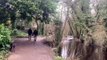 Rivelin Valley Nature Trail: Best Sheffield nature walk for hiking beginners or people new to the city