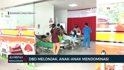 WASPADA! Kasus DBD di Semarang Melonjak, Didominasi Anak-Anak!