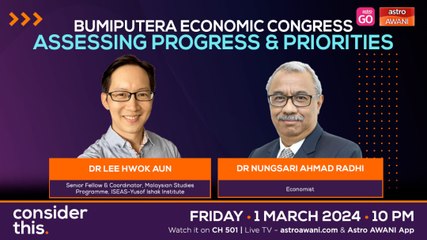 Consider This: KEB 2024 (Part 2) — Bumiputera Agenda or National Agenda?