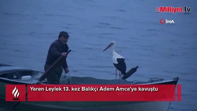 Yaren Leylek 13. kez Balıkçı Adem Amca'ya kavuştu