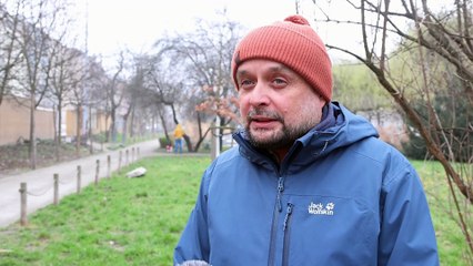 Nasadzenia Aleja Wielkiej Wyspy