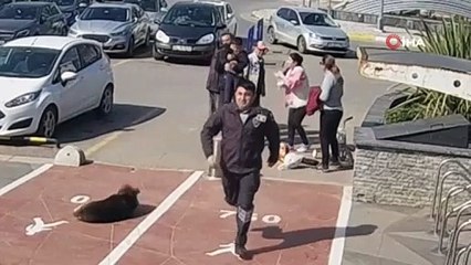 Zabıtanın Heimlich manevrası boğazına şeker kaçan çocuğun hayatını kurtardı