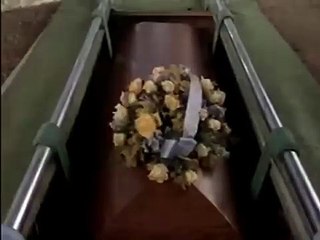 Le Célibataire Bande-annonce (EN)