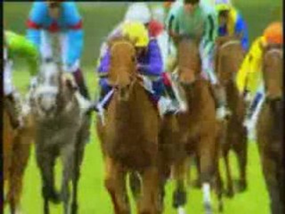 SPOT DIMANCHE AU GALOP