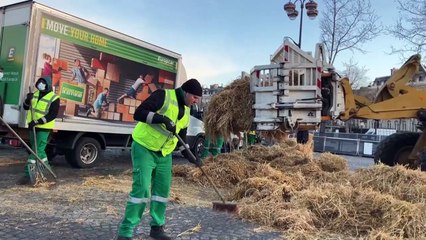 Agriculteurs devant l'Arc de Triomphe: "une opération commando pour montrer qu'on est là"