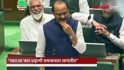 “स्वत-ला फार शहाणी समजायला लागलीत”, म्हणत अजित पवार कोणावर दरडावले?