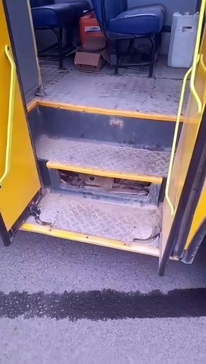 Fezes de rato são encontradas em ônibus escolar em SC: "Condições insalubres"