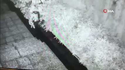 Bursa’da televizyon hırsızı kamerada