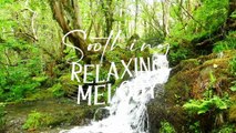 Musique de relaxation douce - Mélodies sereines pour la méditation profonde, la réduction du stress et l'aide au sommeil
