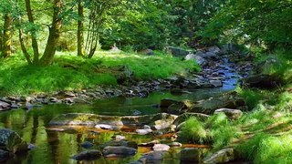 Peaceful Relaxing Music 2024 | Breathtaking Natural Landscapes with Soothing Relaxing Piano