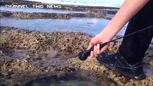 Salty Reef Interview - movie - 2016 - Official Clip