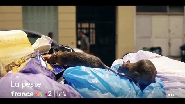 Se replonger dans La Peste quatre ans après la crise sanitaire: France 2 propose lundi soir une relecture inédite du roman d'Albert Camus se déroulant en 2030 - Regardez