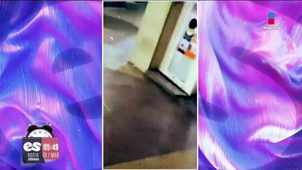 Invasión de mosquitos en Argentina