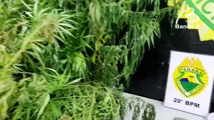 Dono de lava car é preso suspeito de vender drogas