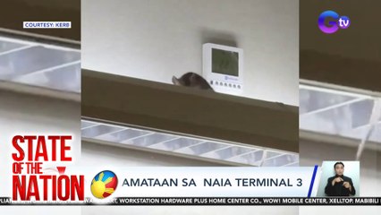Daga, namataan sa NAIA Terminal 3 | SONA