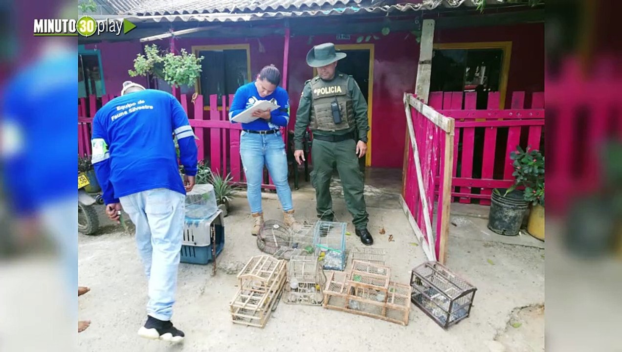 Corantioquia recupera 14 animales silvestres durante el Puente de Reyes
