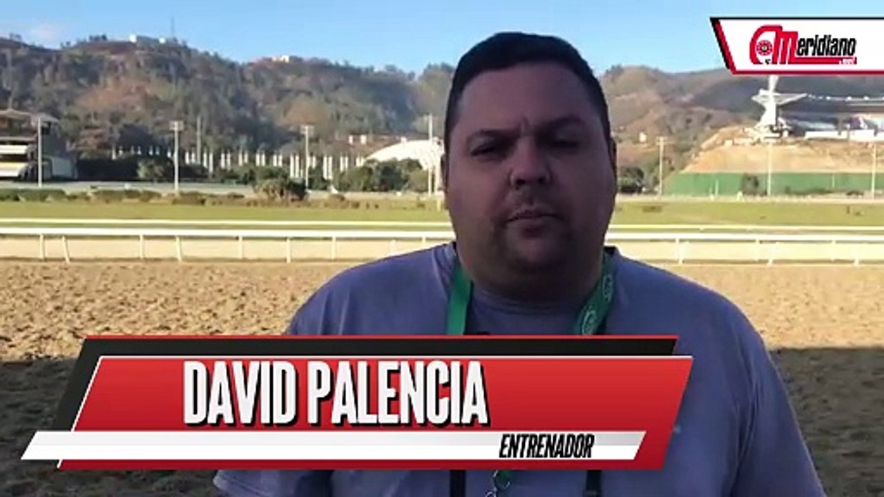 HIPISMO: David Palencia, Entrenador. - Vídeo Dailymotion