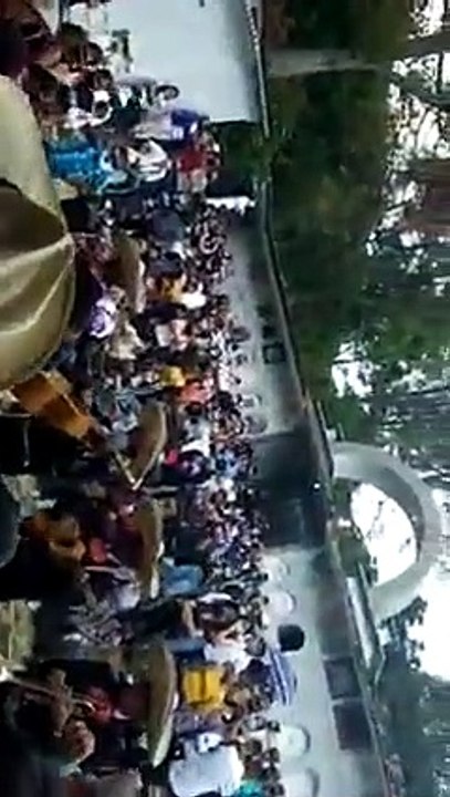 mariachis