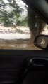 20-11-21 Por el aguacero varias calles resultaron inundadas en El Retiro Antioquia  (1)