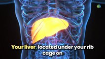 Symptoms of Liver Damage_ Top 14 Signs of Liver Disease You Need To Know