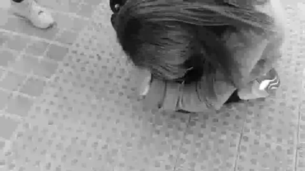El emotivo reencuentro entre una mujer y su mascota tras el incendio de Valencia