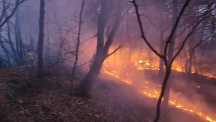 인천 왕길동 야산에서 불...임야 1,600㎡ 소실 / YTN