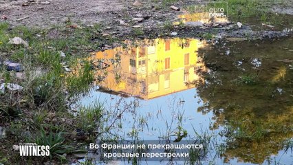 Наркотические войны в Марселе: смогут ли местные власти остановить картели? 🚨