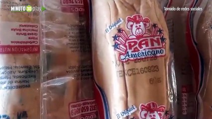 下载视频: En Santa Marta denuncian panes con hongos enviados por la PAE estudiantes terminaron intoxicados