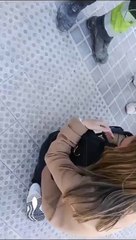 Gato, resgate, Valência