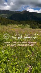 تلاواة خاشعة من سورة الشعراء