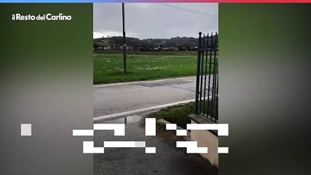 Rimini, avvistati due lupi vicino al carcere: video