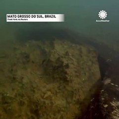 200 kiloluk dev anakonda