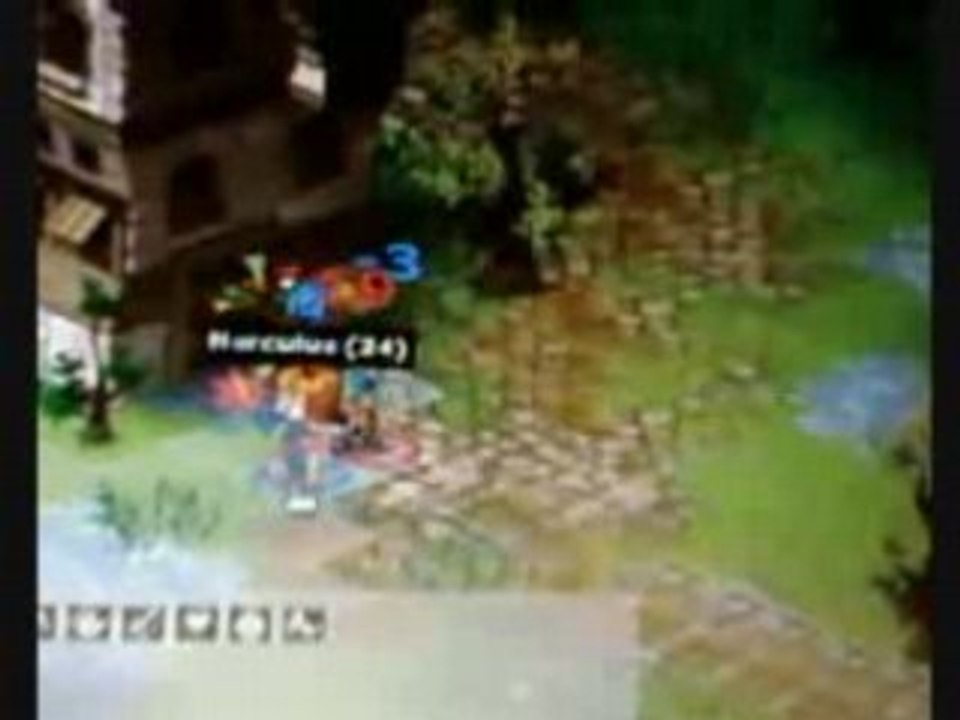 dofus ibleuguerrier