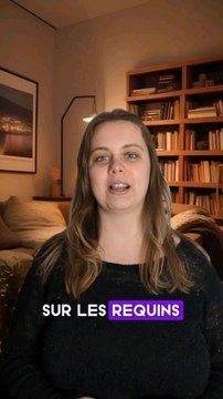 mythes et réalités sur les requins