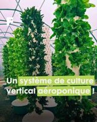 L'agriculture hors-sol : découvrez le système de culture aéroponique économisant 95% d'eau !