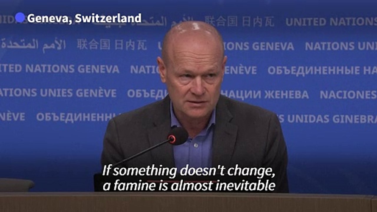 Gaza famine 'almost inevitable': UN
