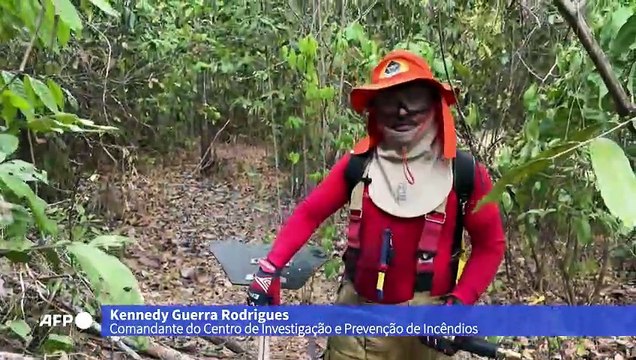 Autoridades e moradores trabalham para conter o avanço do fogo em Roraima
