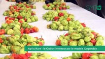 [#Reportage] Agriculture : le Gabon intéressé par le modèle Ougandais