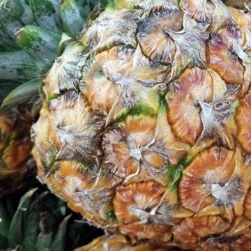 -ANDRÉS DE JESÚS VÉLEZ FRANCO- DIVERSIDAD CULTURAL DE COLOMBIA Y DEPORTES OLÍMPICOS (PARTE 1) (@AndresdeJesus90)