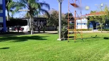 Convocan al Primer Taller de Grana Cochinilla en el Centro Universitario de la Costa Sur