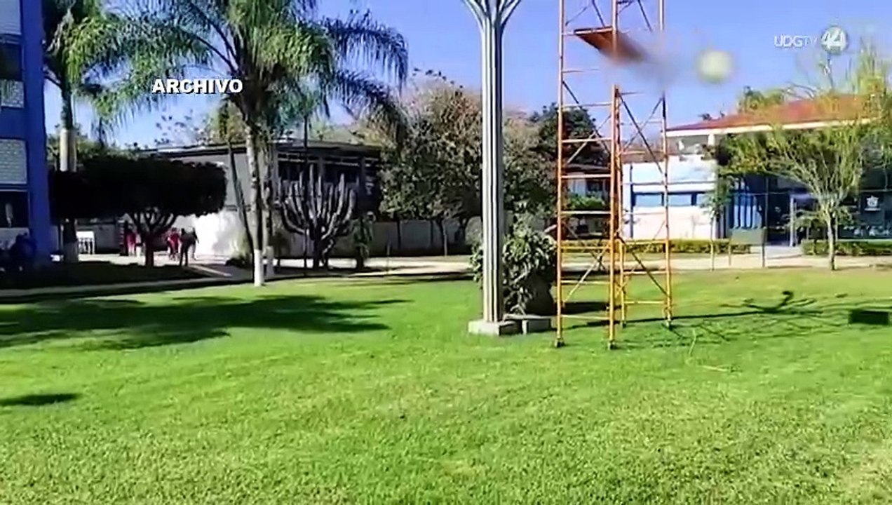 Convocan al Primer Taller de Grana Cochinilla en el Centro Universitario de la Costa Sur