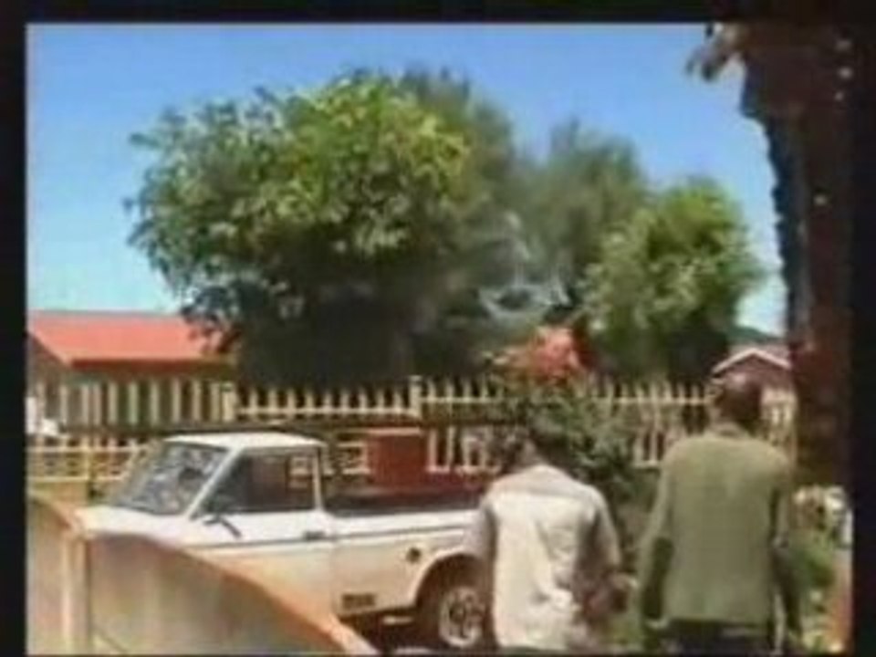 René arrache un arbre
