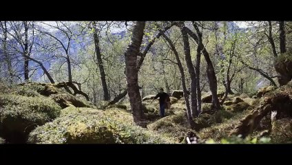 'Más que nunca' - Tráiler Oficial