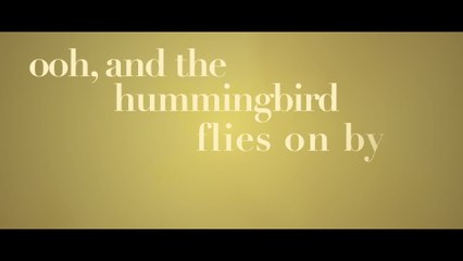 Carly Pearce - hummingbird (Lyric Video)