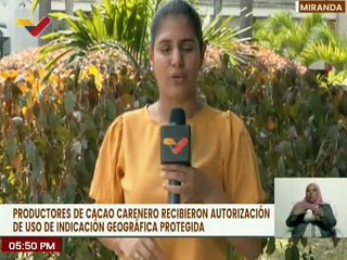 Productores de Cacao reciben certificado para el uso "Geográfica Protegida" en el edo. Miranda