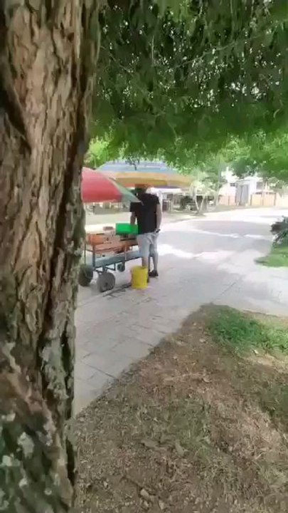 regarder c'est la honte la hchoma