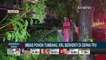 Imbas Pohon Tumbang, KRL Tanah Abang-Rangkasbitung Berhenti di Depan TPU